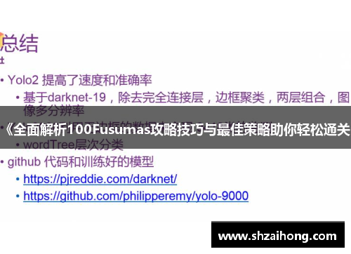 《全面解析100Fusumas攻略技巧与最佳策略助你轻松通关》