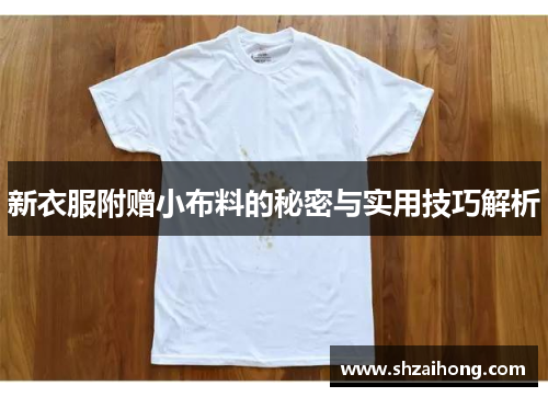 新衣服附赠小布料的秘密与实用技巧解析