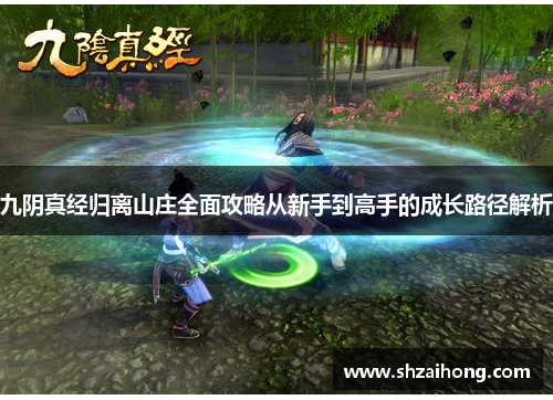 九阴真经归离山庄全面攻略从新手到高手的成长路径解析